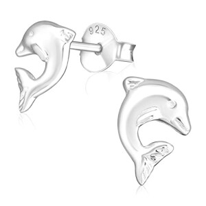 Boucles d'oreille Dauphin argenté